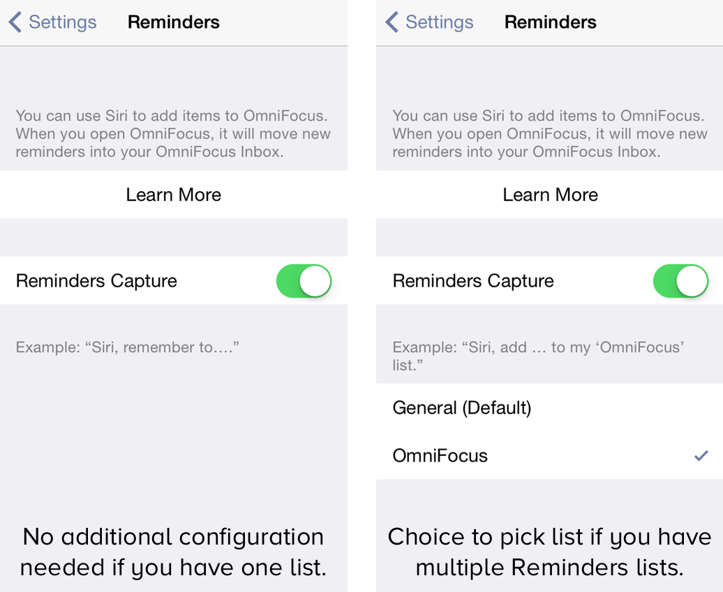 OmniFocus 2 for iPhone — Reminders Capture Settings