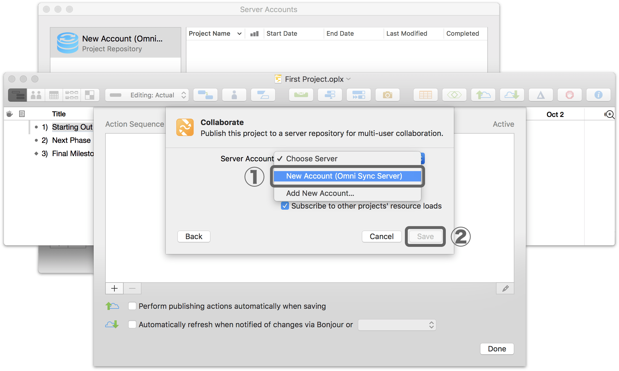Setting up sharing options for a project in OmniPlan 3.10 for Mac, Step 3.