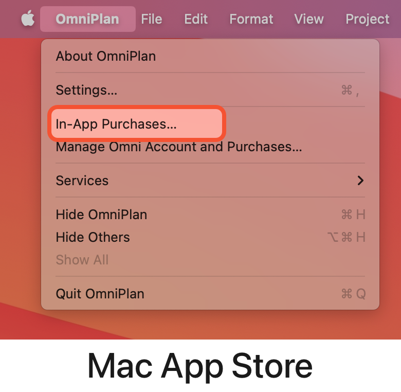 App menu for an app downloaded from the Mac App Store