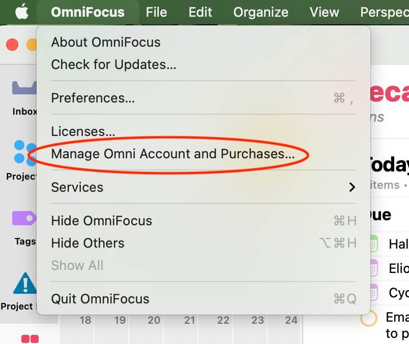 OmniFocus 3 App Menu