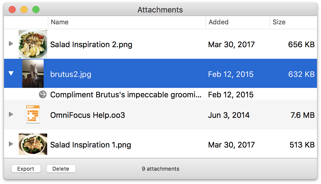 The Attachment List shows all of the files attached to your OmniFocus database