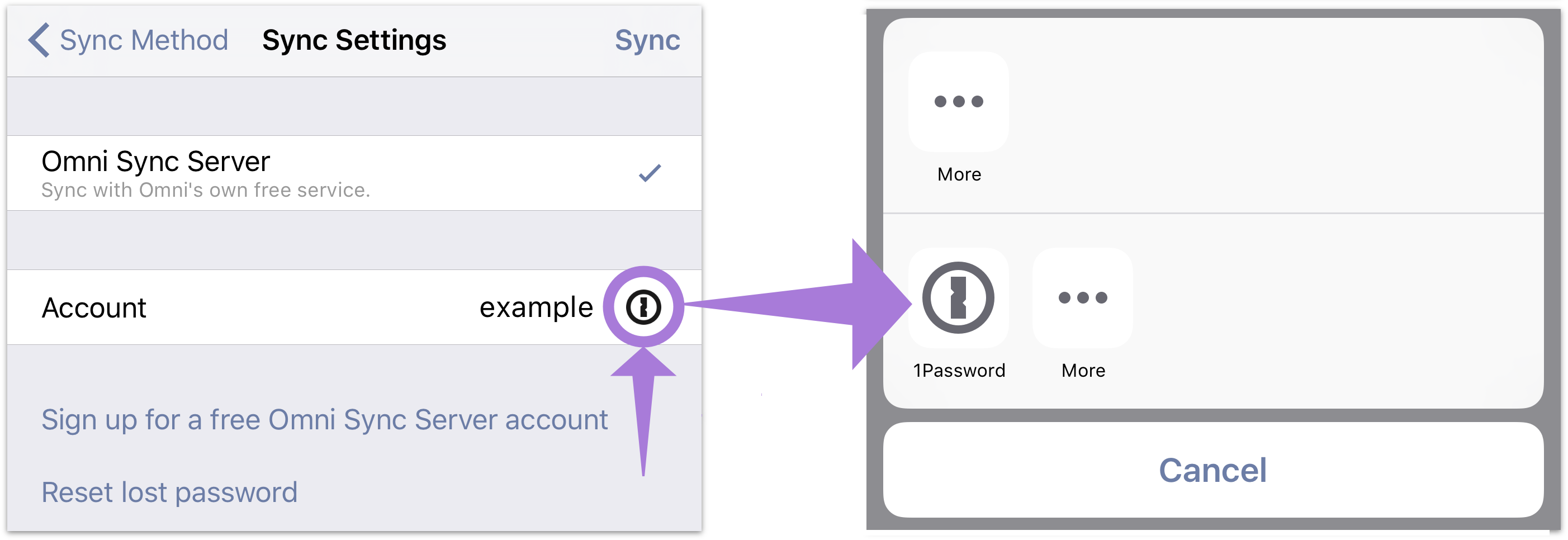 1password support