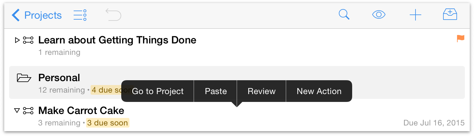 Contextual menu for projects in OmniFocus 2 for iOS on iPad.