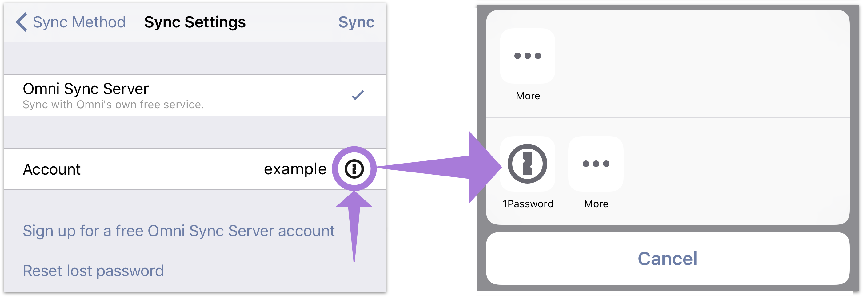 The Sync Settings screen with 1Password support available.