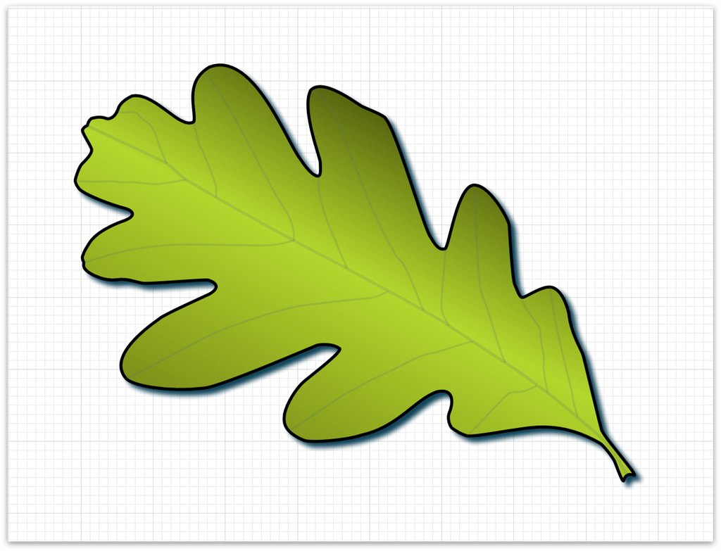 The final leaf, including veins and coloring
