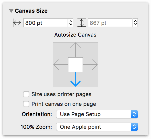 The Canvas Size inspector, showing the Autosize Canvas widget set to an eight-hundred-pixel width and the autoresize direction restricted to flow downward.