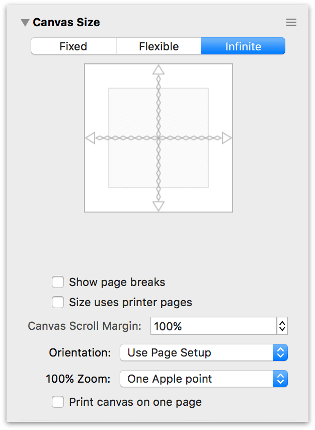 The Canvas Size inspector set to an Infinite Canvas
