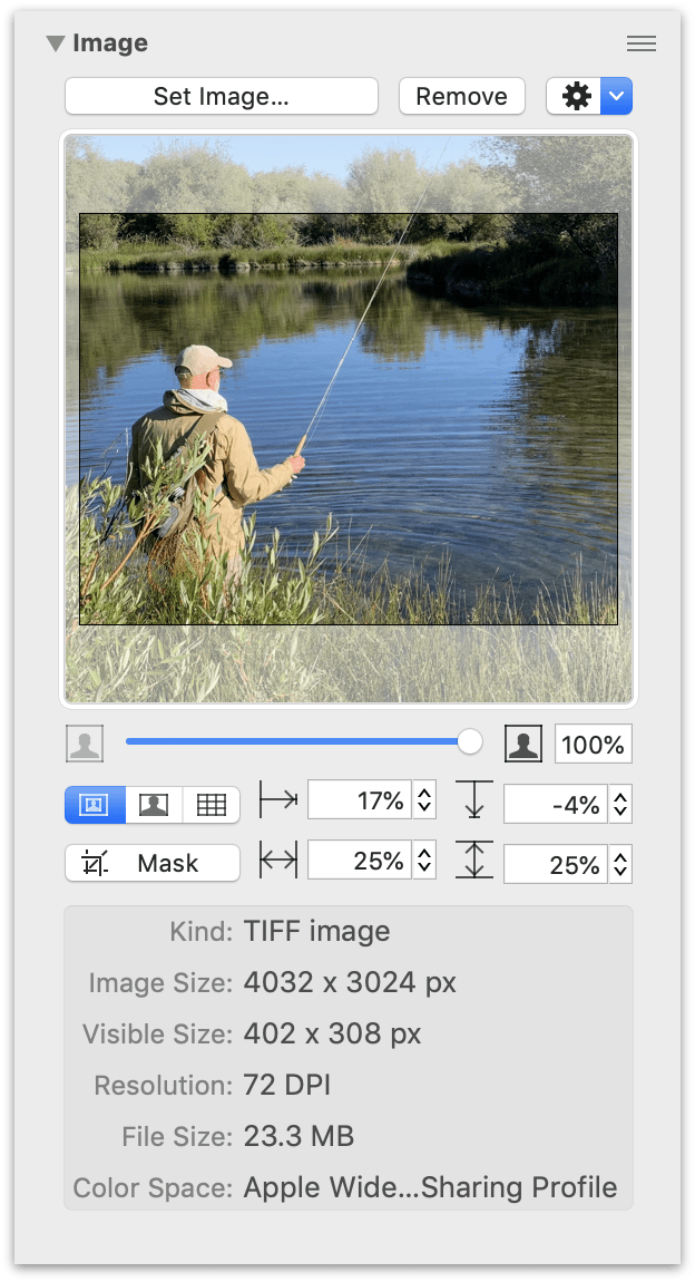 The Image Inspector