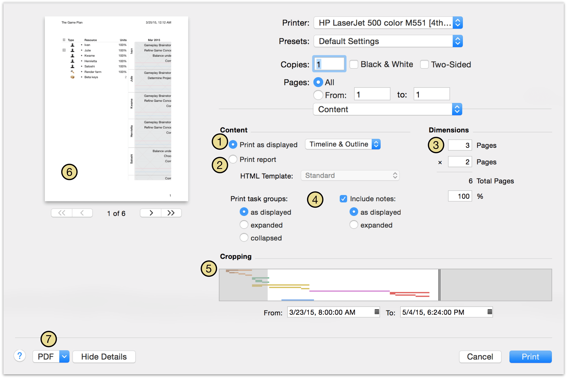 OmniPlan print-time options for content display.