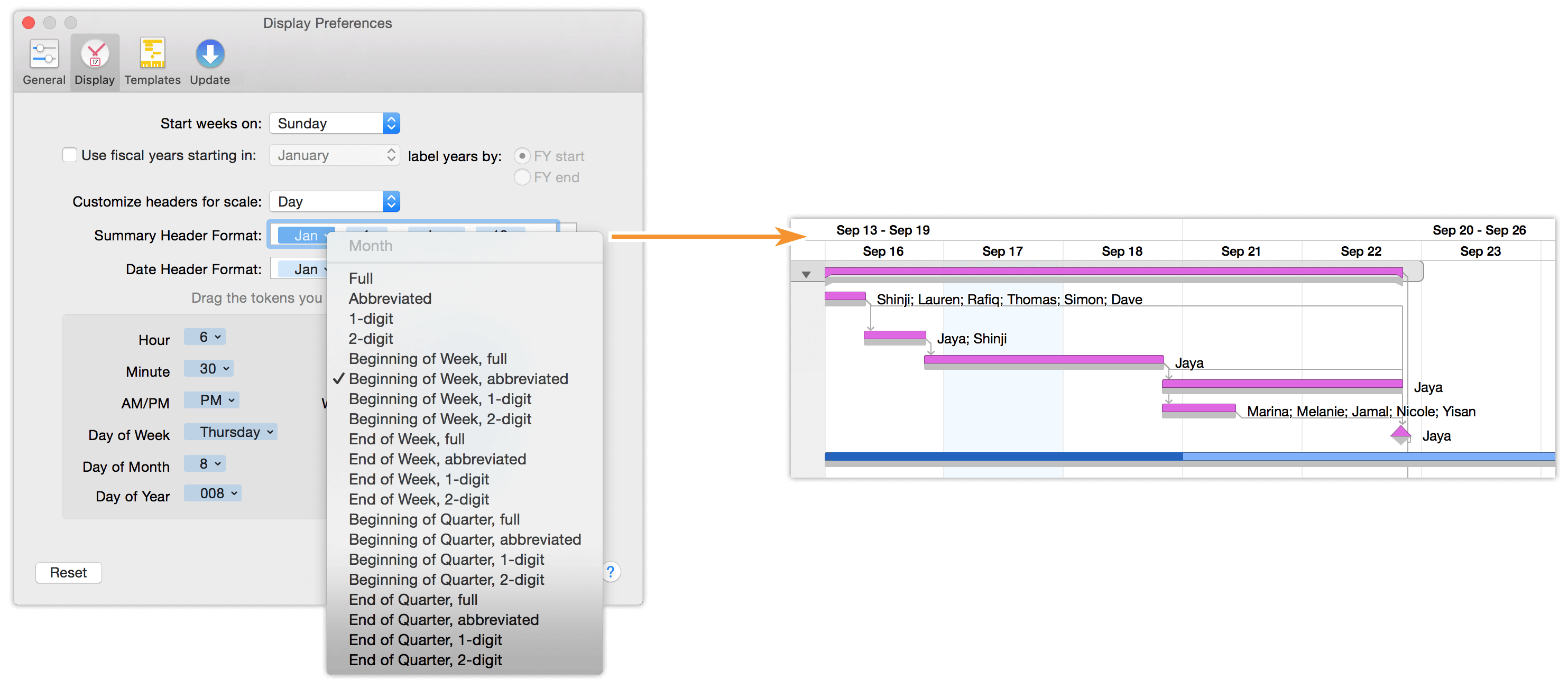 omniplan pro table editor like ms project