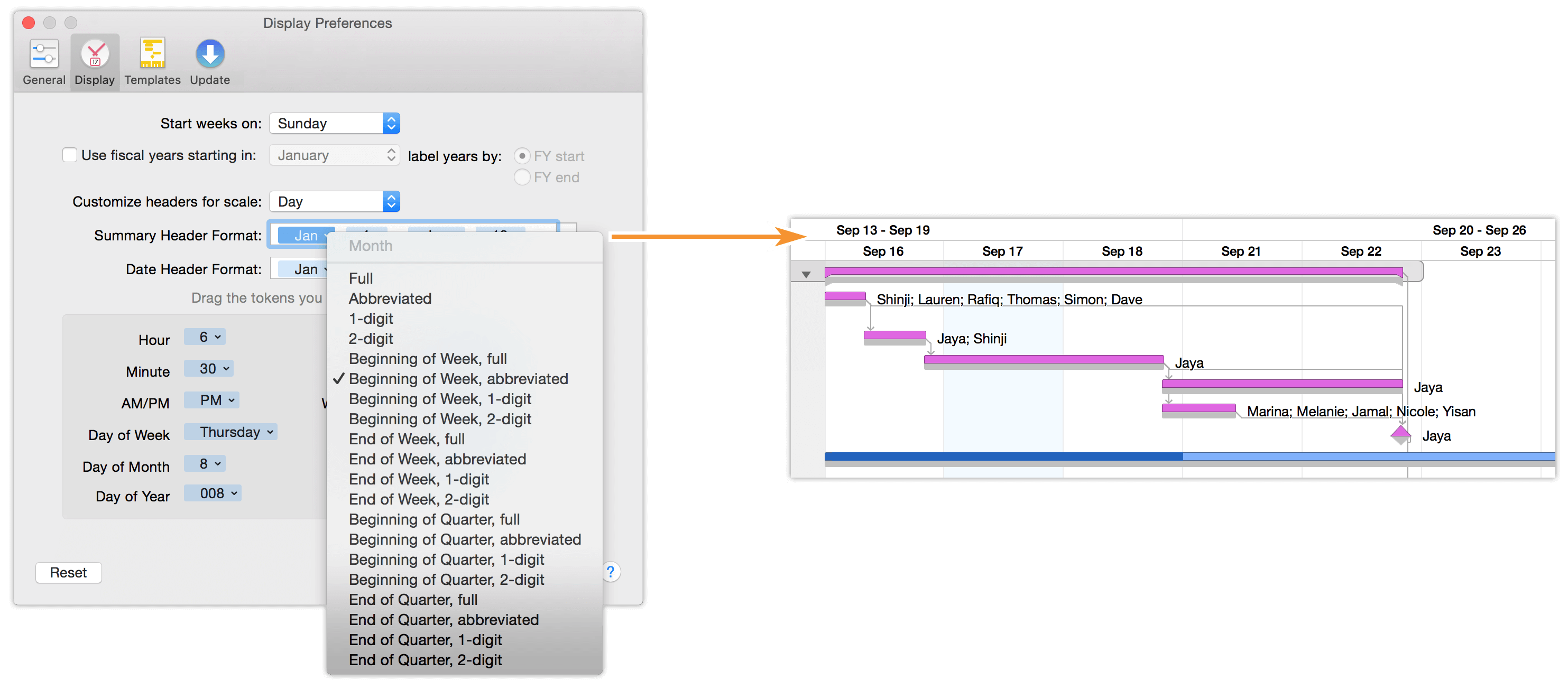 Adding a summary header to the Day scale in the Gantt chart.