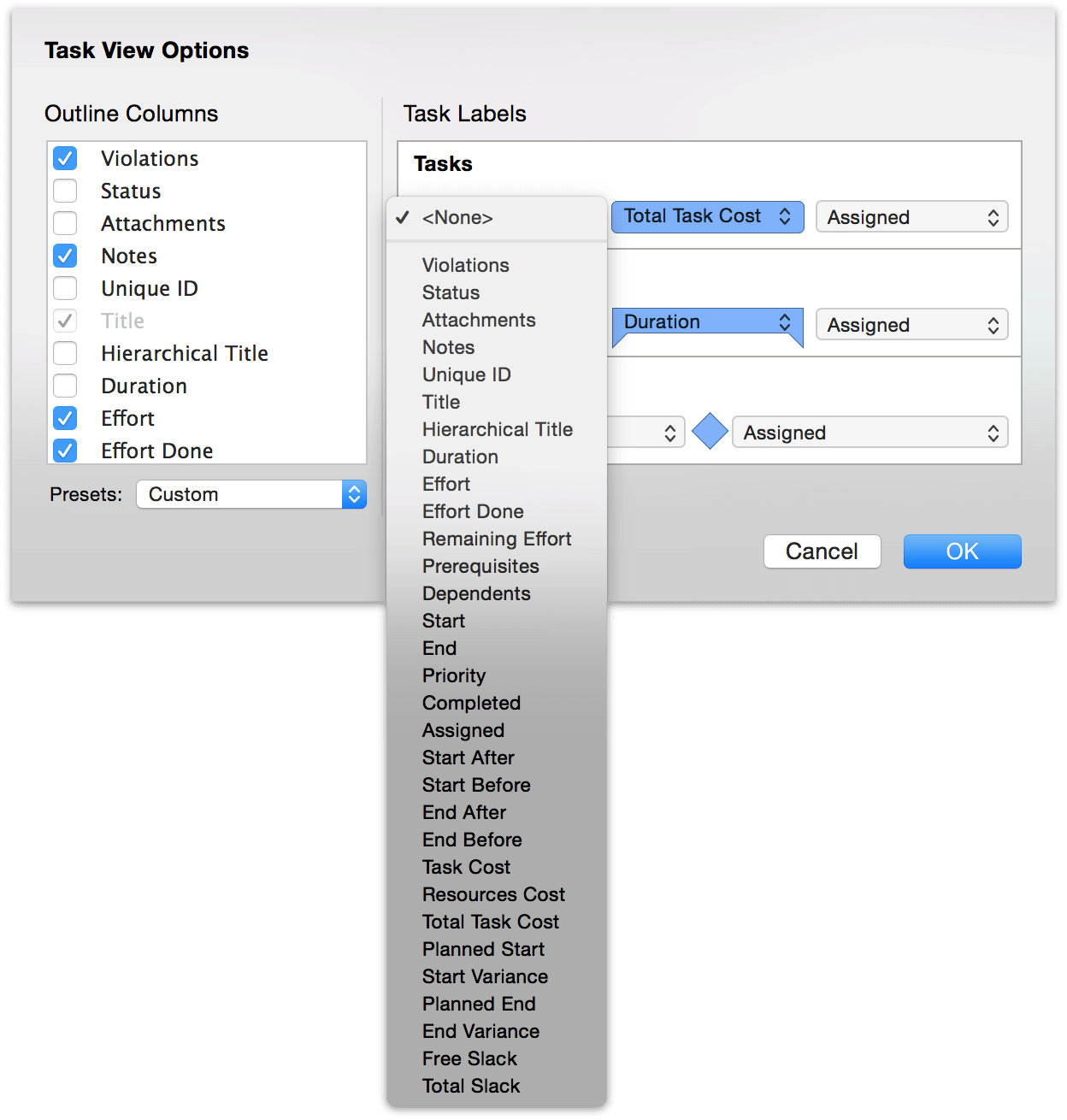 View Options in Task View.