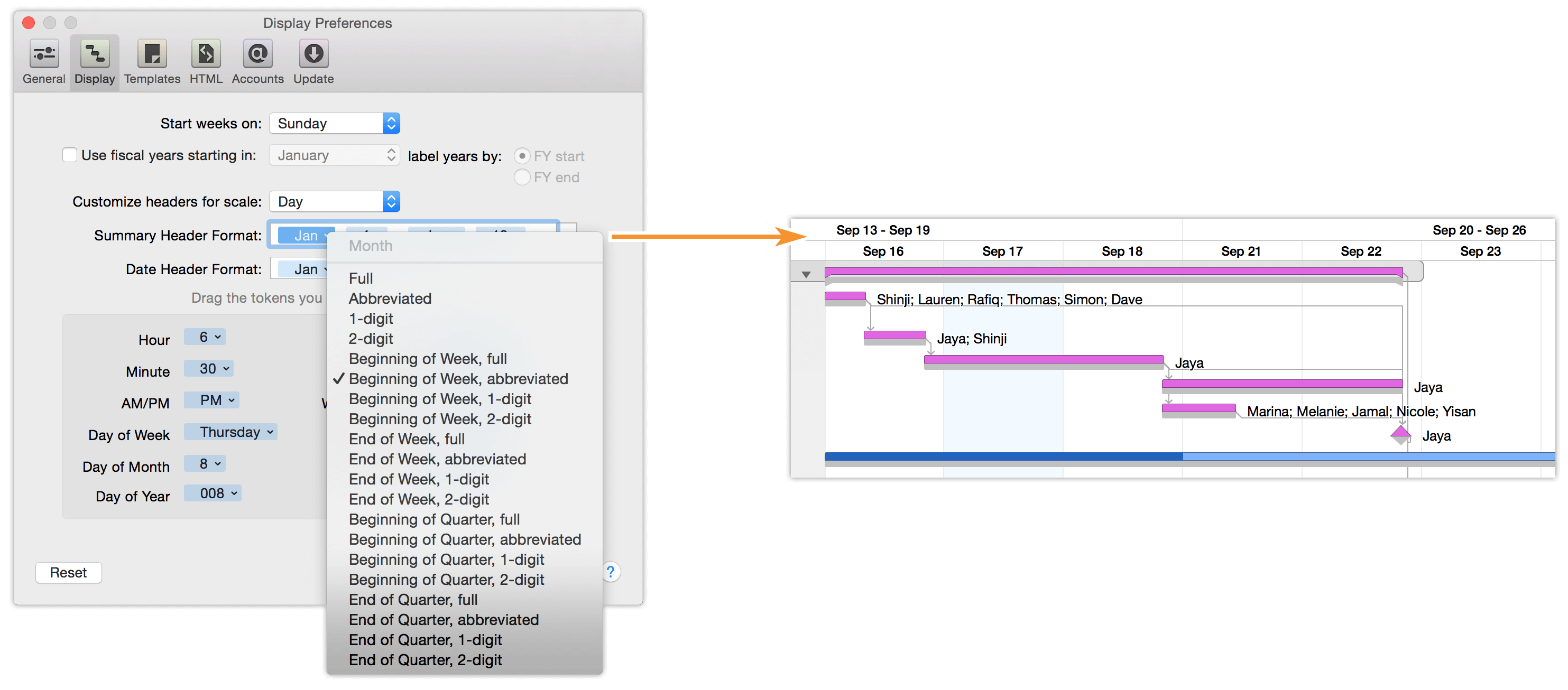 Adding a summary header to the Day scale in the Gantt chart.