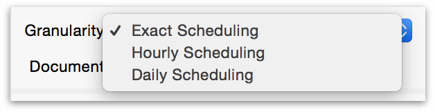 Granularity in the Project Info section of the Project inspector.