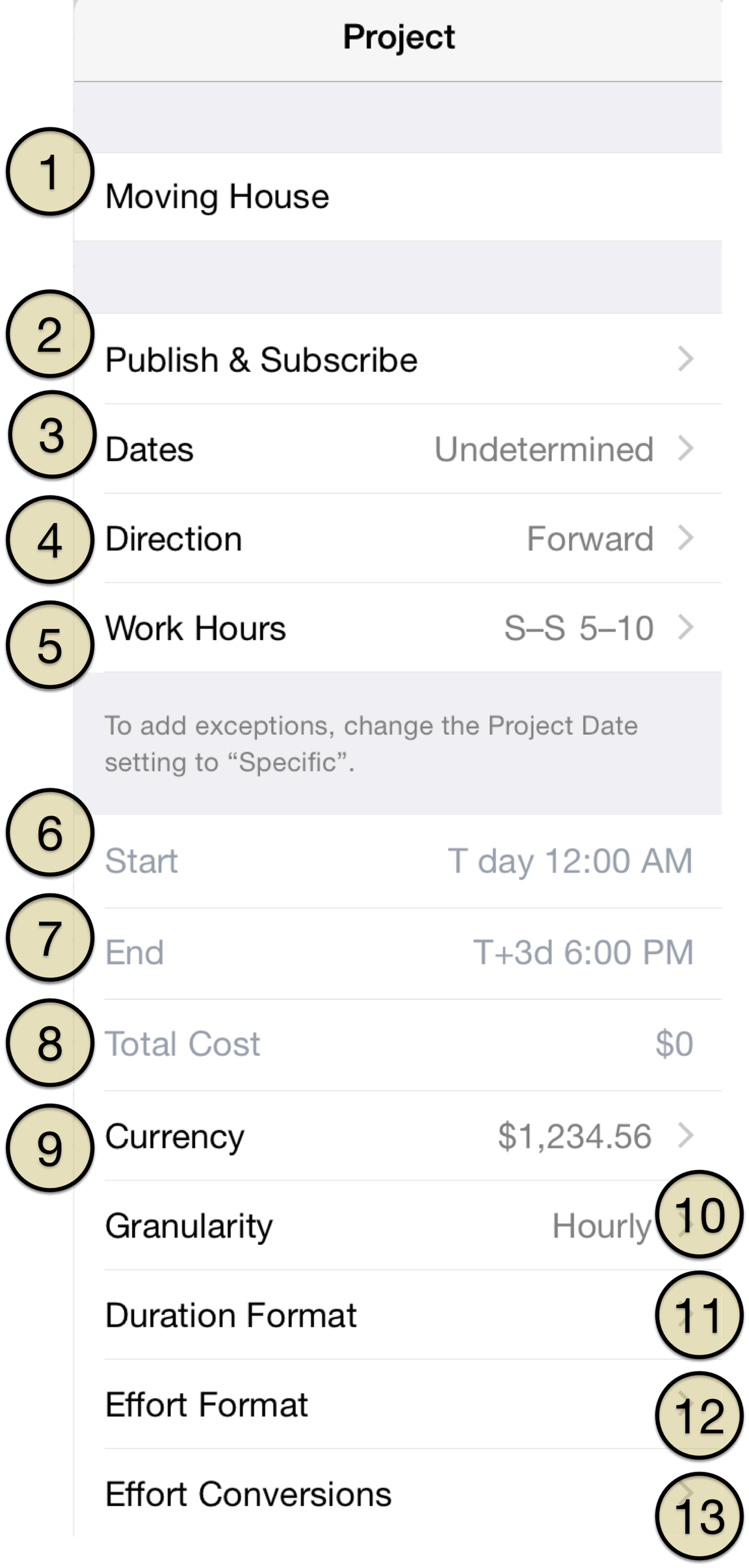 The project inspector in OmniPlan 2 for iOS