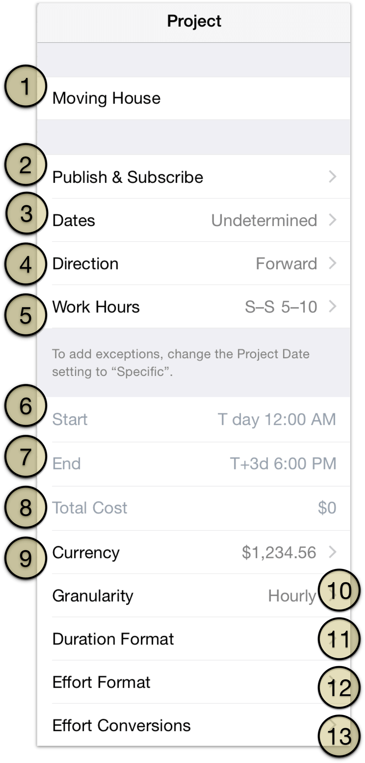 The project inspector in OmniPlan 2 for iOS