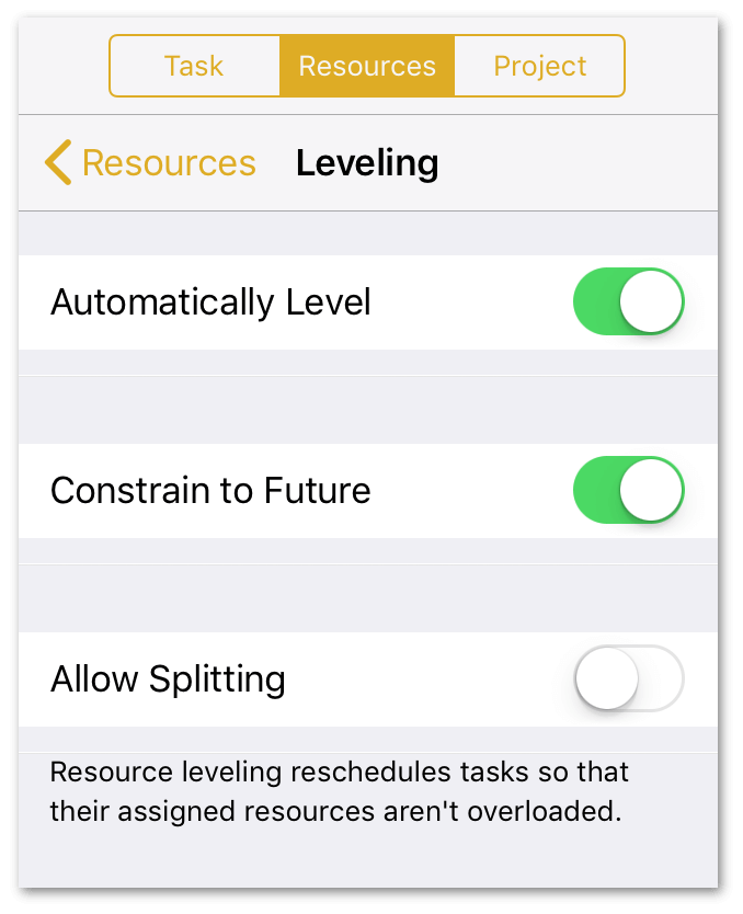 The Leveling options include Automatic Leveling, Constrain to Future, and Allow Splitting