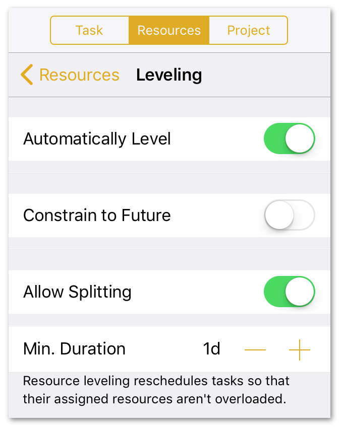 The Resources inspector, showing that Automatically Level and Allow Splitting are turned on.