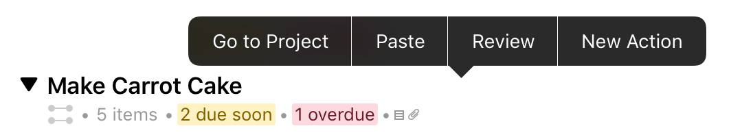 The contextual menu on a project in the outline.