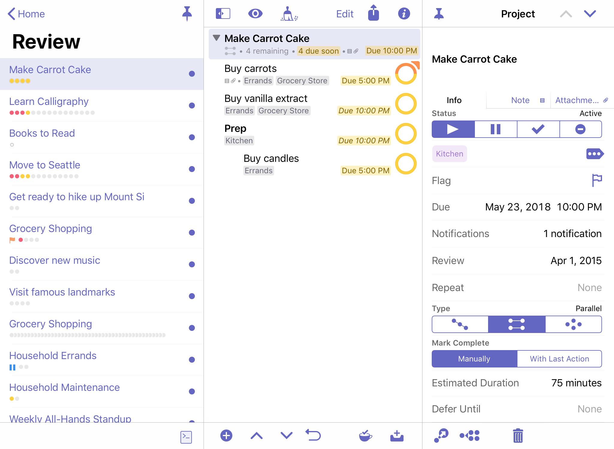 The Review perspective on iPad in wide view, with the sidebar and inspectors pinned.