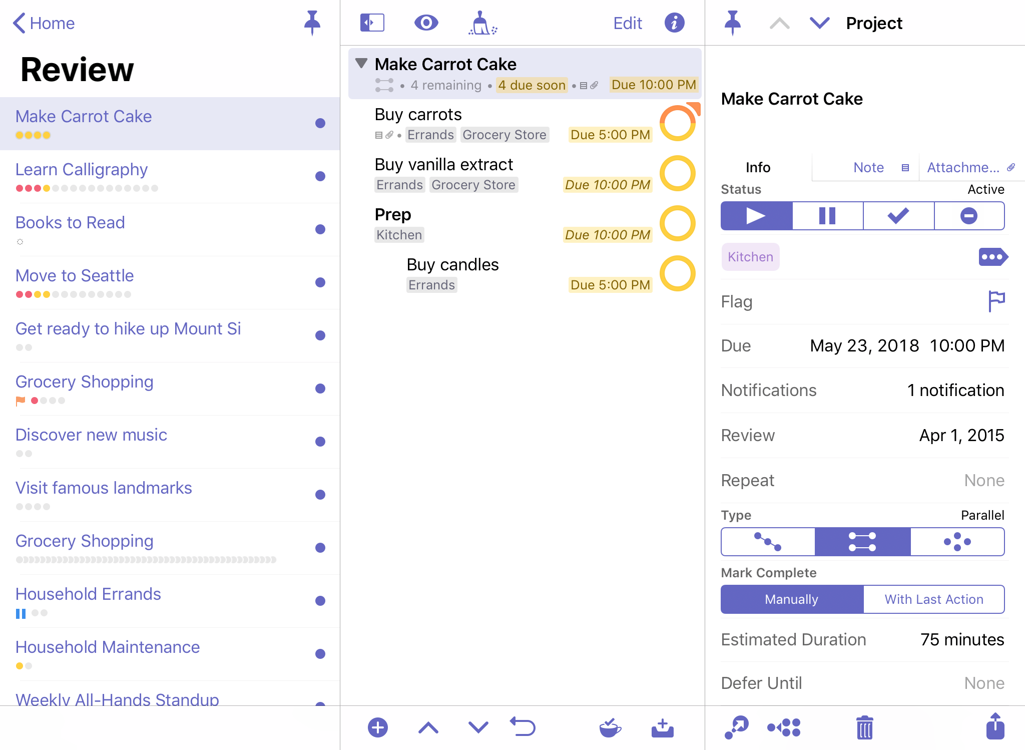 The Review perspective on iPad in wide view, with the sidebar and inspectors pinned.