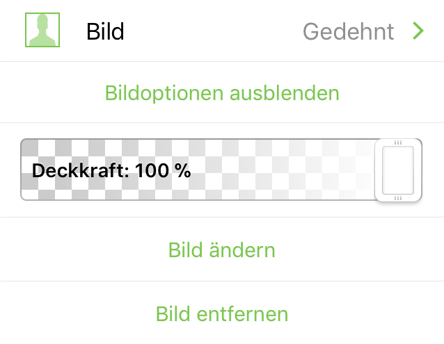 Das Informationsfenster „Bild“