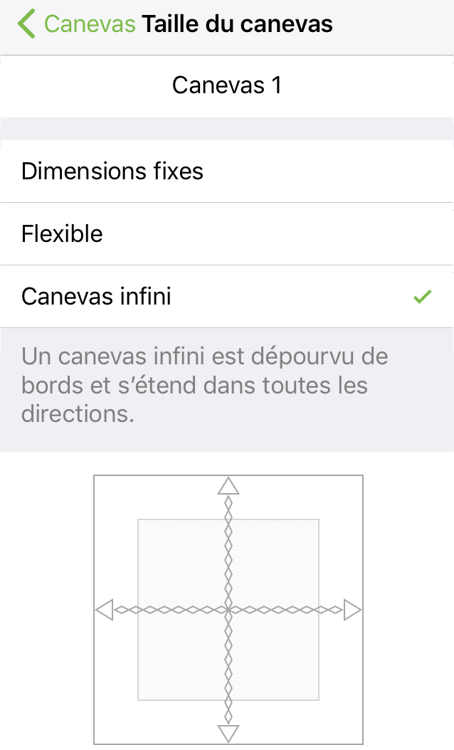 Inspecteur Taille du canevas avec canevas réglé sur Canevas infini