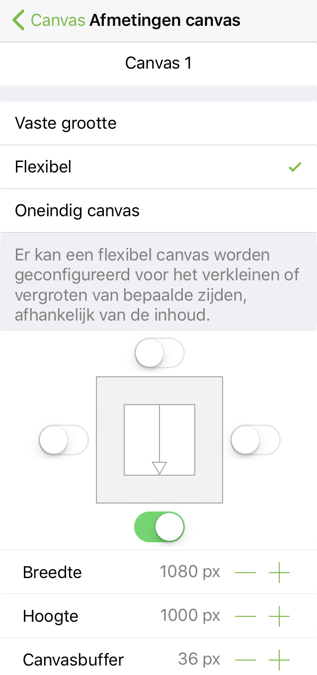 Het infovenster Canvasgrootte, ingesteld op een flexibele grootte