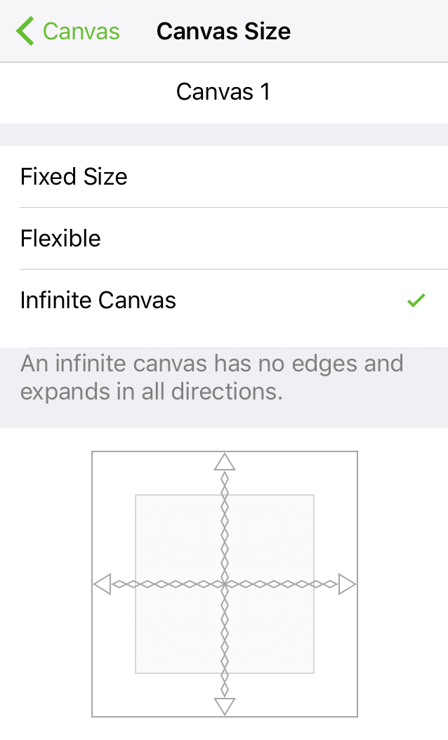 The Canvas Size inspector set to an Infinite Canvas