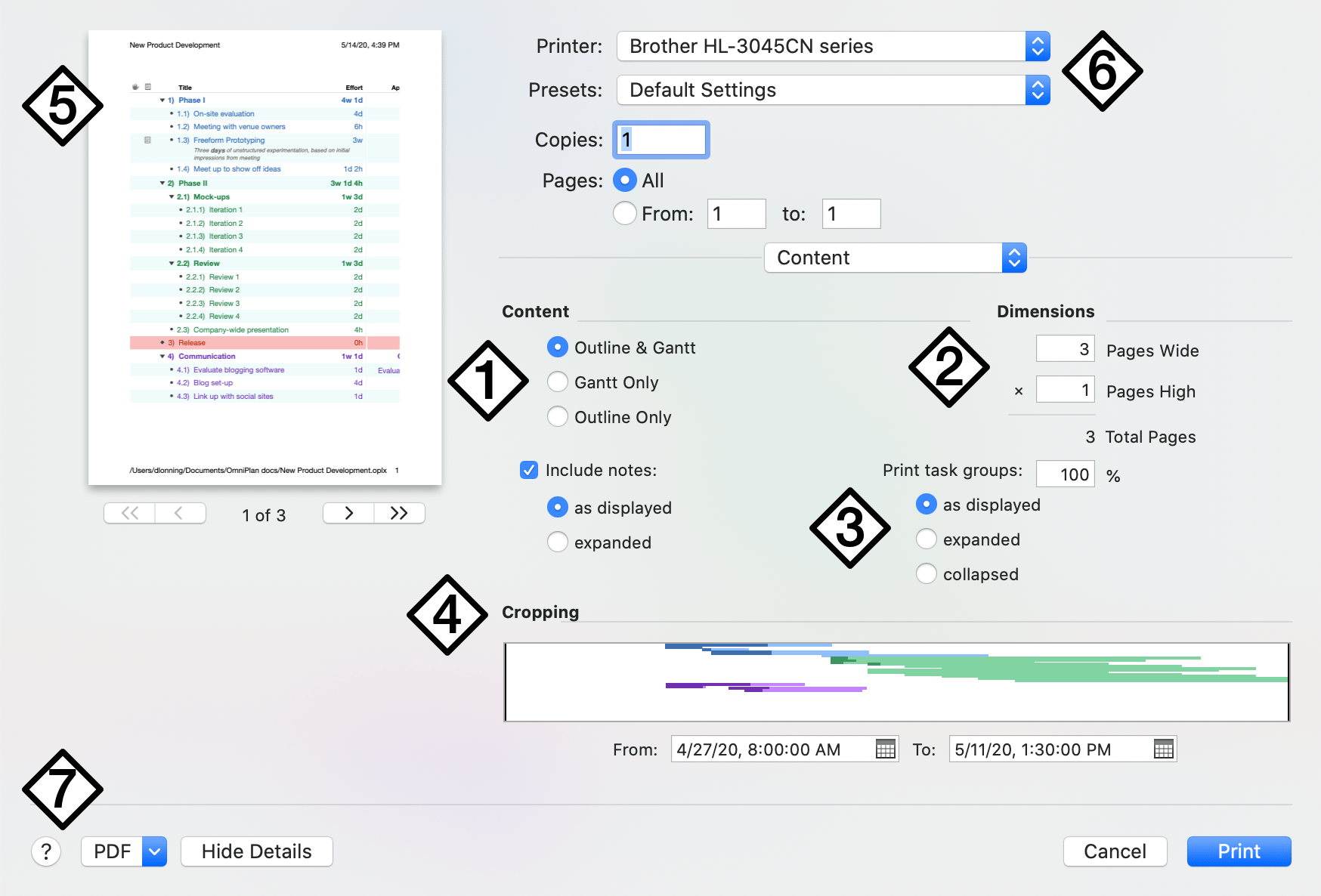 OmniPlan print-time options for content display.