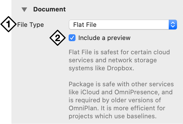 The Document section of the Project inspector.
