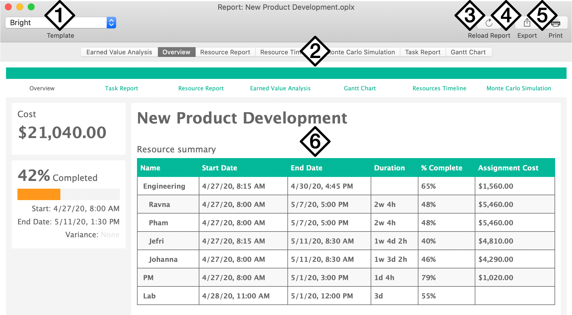 The Report window in OmniPlan Pro.